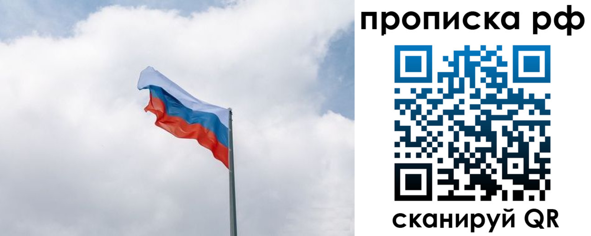 прописка гарантия в Озёрске